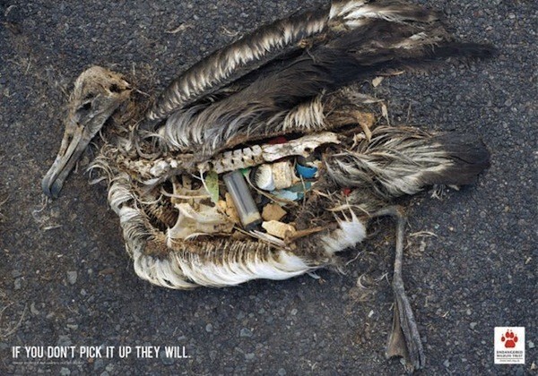 Những[-]poster[-]quảng[-]b&aacute;[-]g&acirc;y[-]ấn[-]tượng[-]mạnh[-]tới[-]con[-]người[-]6